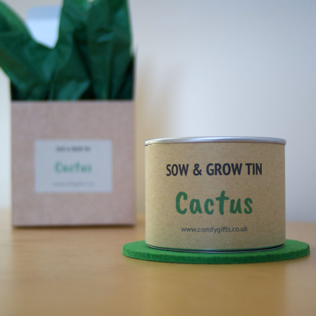Cactus grow your own gift set