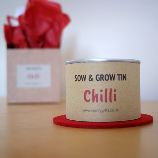 Chilli plant grow your own gift set
