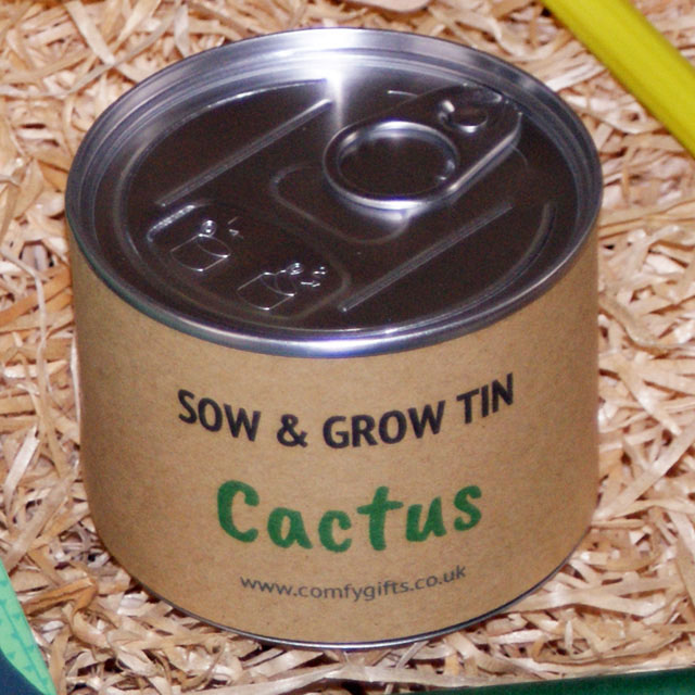 Grow your own cactus kit delivered