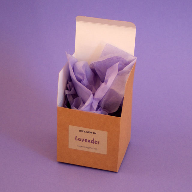 Sow & Grow Lavender Tin, grow your own lavender kit
