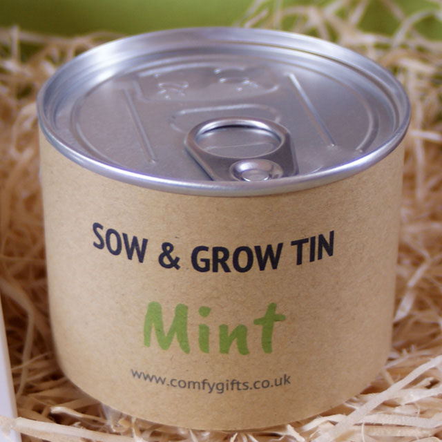 Grow your own mint - better than flowers get well soon gifts UK