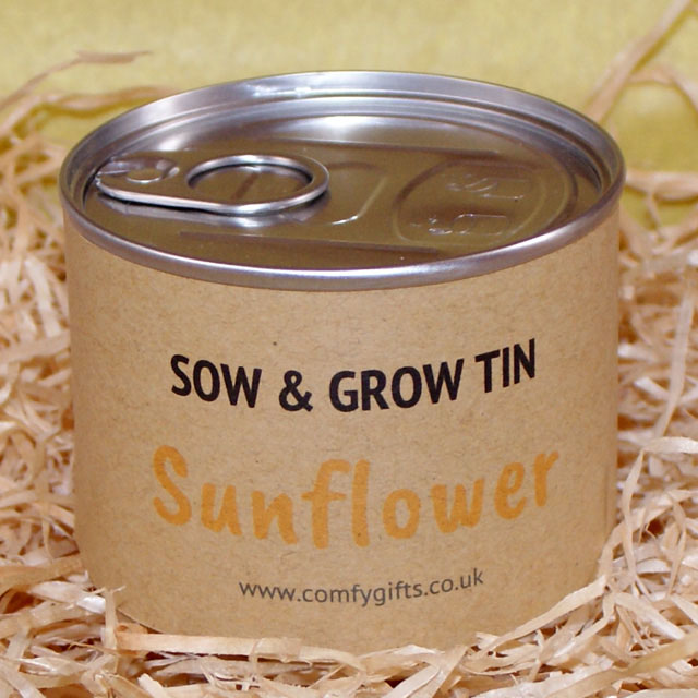 Grow your own sunflower kit for kids